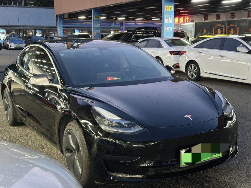 Tesla Model 3 2020 Tesla Model 3 2020 car image