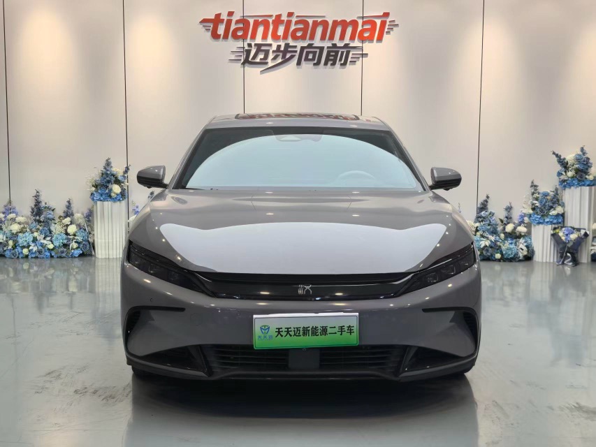 BYD Han 2024 car image #2