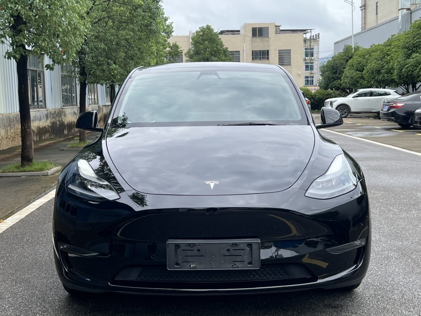 Tesla Model Y 2021 car image #2