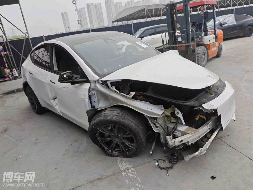 Tesla Model Y 2024 car image #10