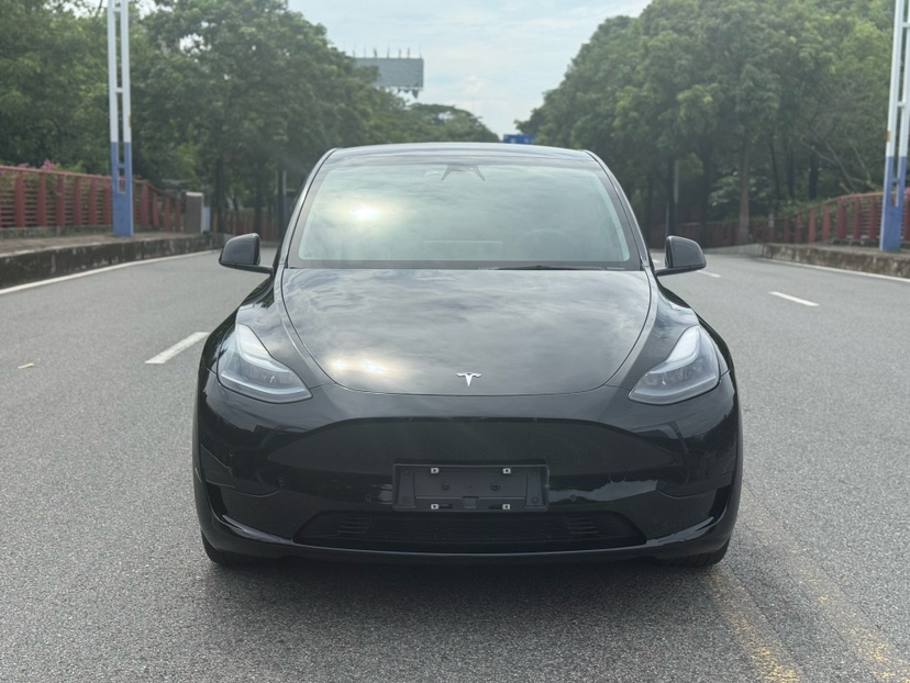 Tesla Model Y 2023 car image #2