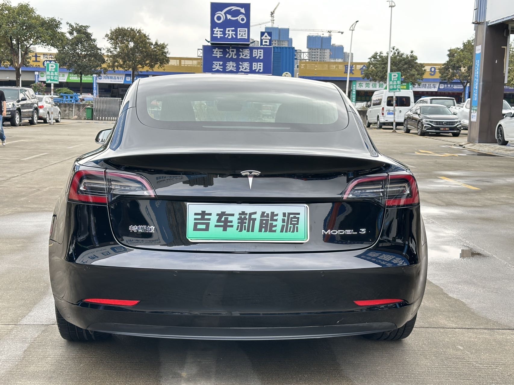 Tesla Model 3 2020 #5 Tesla Model 3 2020 car image #5