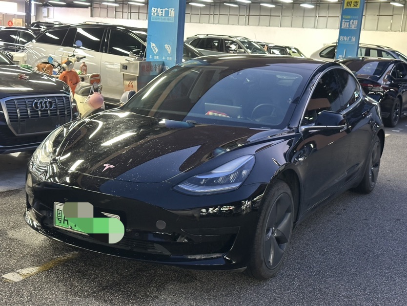 Tesla Model 3 2020 #3 Tesla Model 3 2020 car image #3