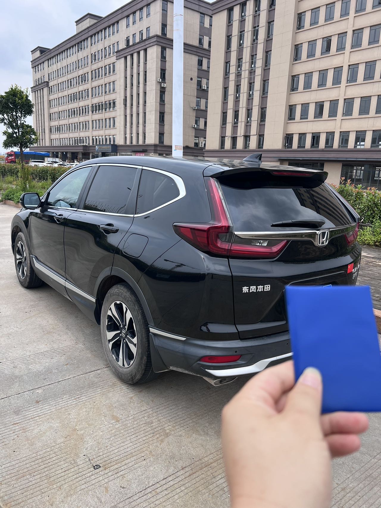 Honda CR-V 2022 car image #5