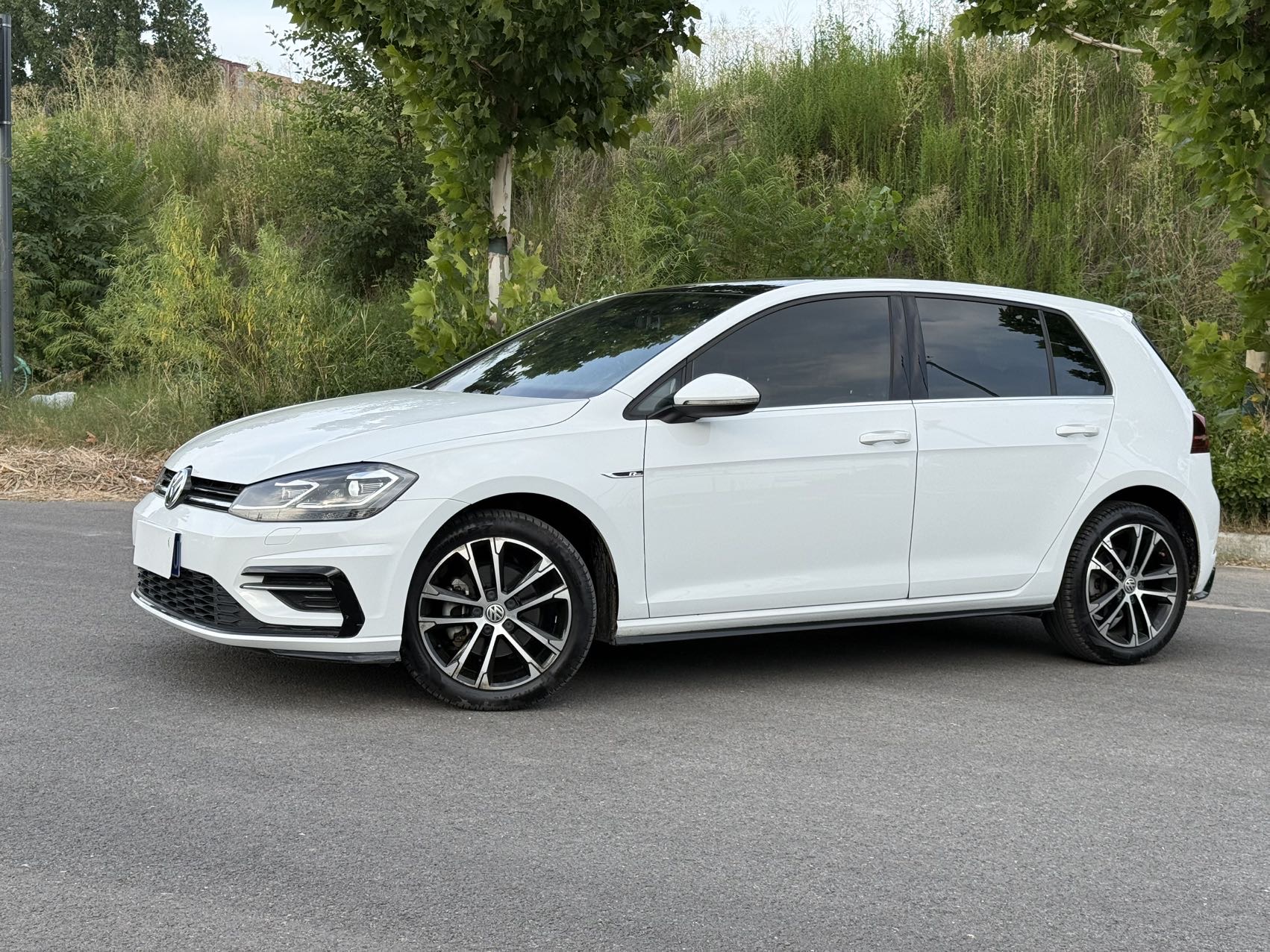 Volkswagen Golf 2019 car image 