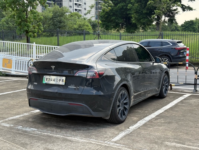 Tesla Model Y 2023 #6 Tesla Model Y 2023 car image #6