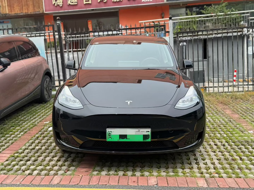 Tesla Model Y 2024 Tesla Model Y 2024 car image