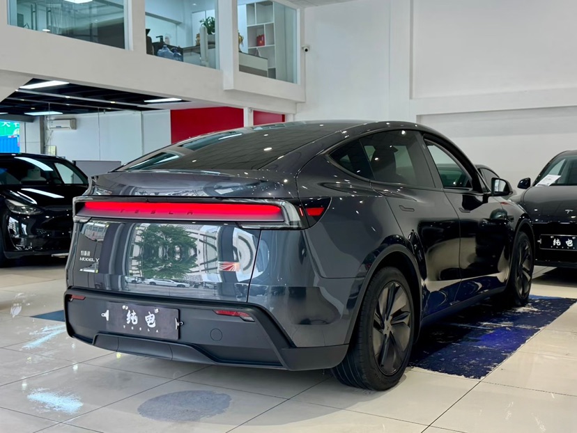 Tesla Model Y 2025 car image #6