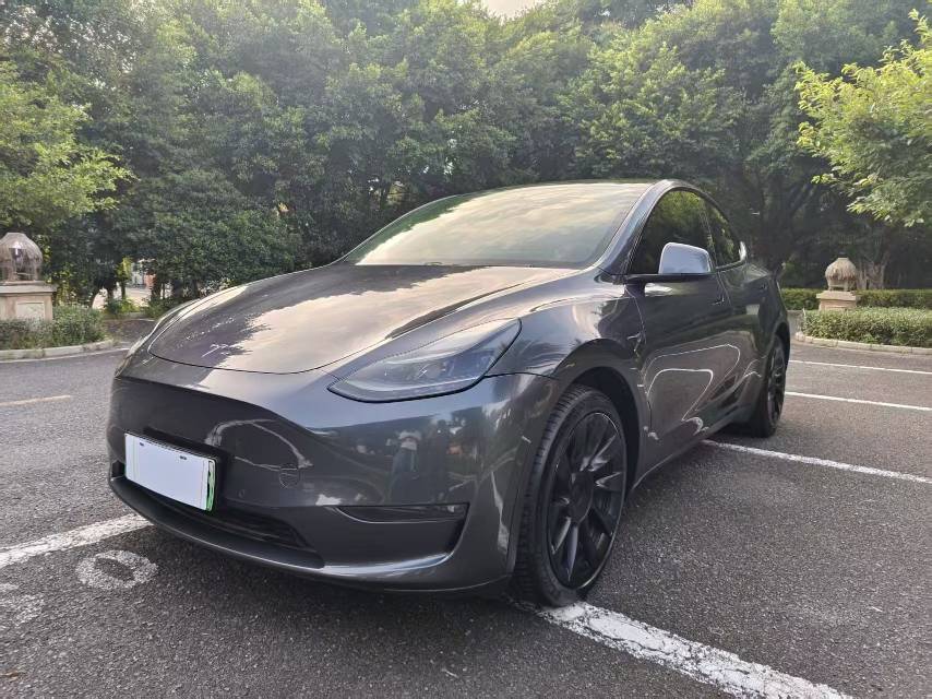 Tesla Model Y 2021 Tesla Model Y 2021 car image