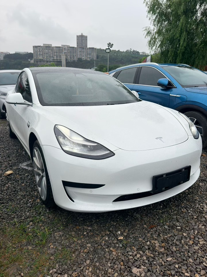 Tesla Model 3 2020 Tesla Model 3 2020 car image