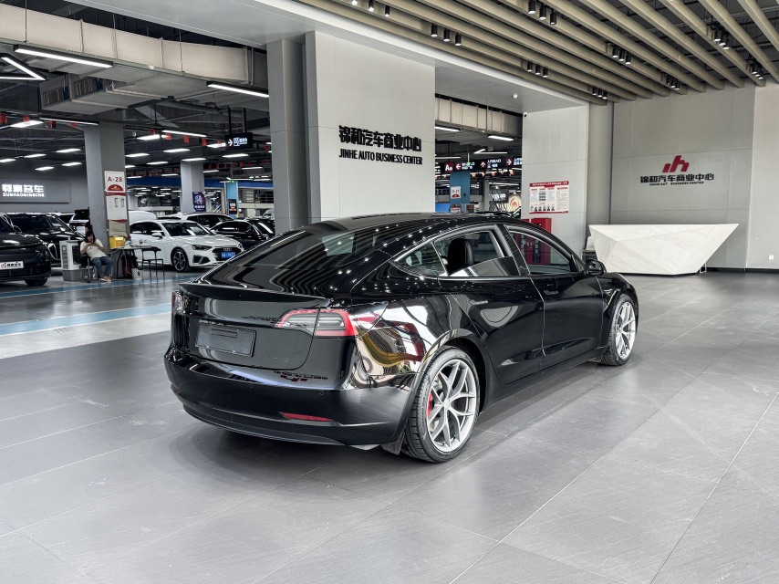Tesla Model 3 2021 #6 Tesla Model 3 2021 car image #6