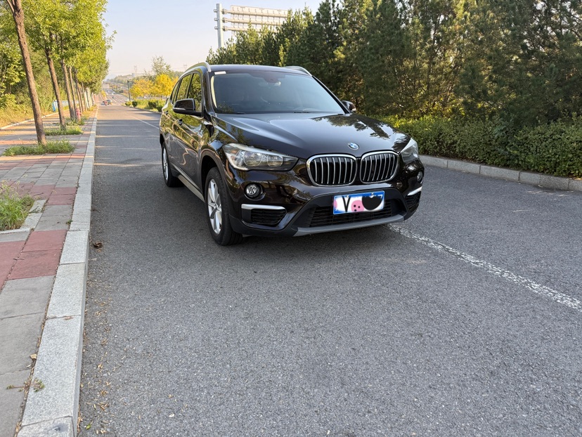 BMW X1 2017 BMW X1 2017 car image