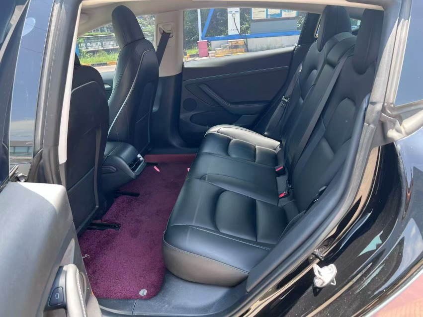 Tesla Model 3 2022 car image #6