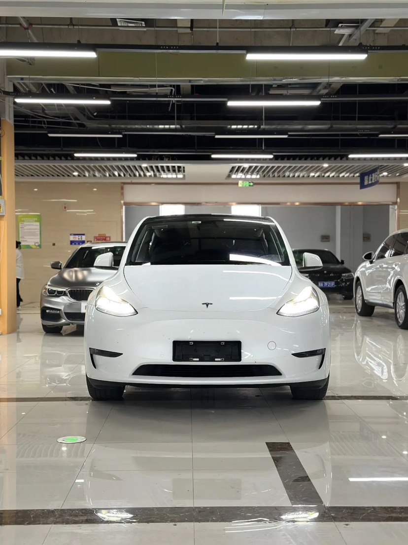Tesla Model Y 2022 car image #2