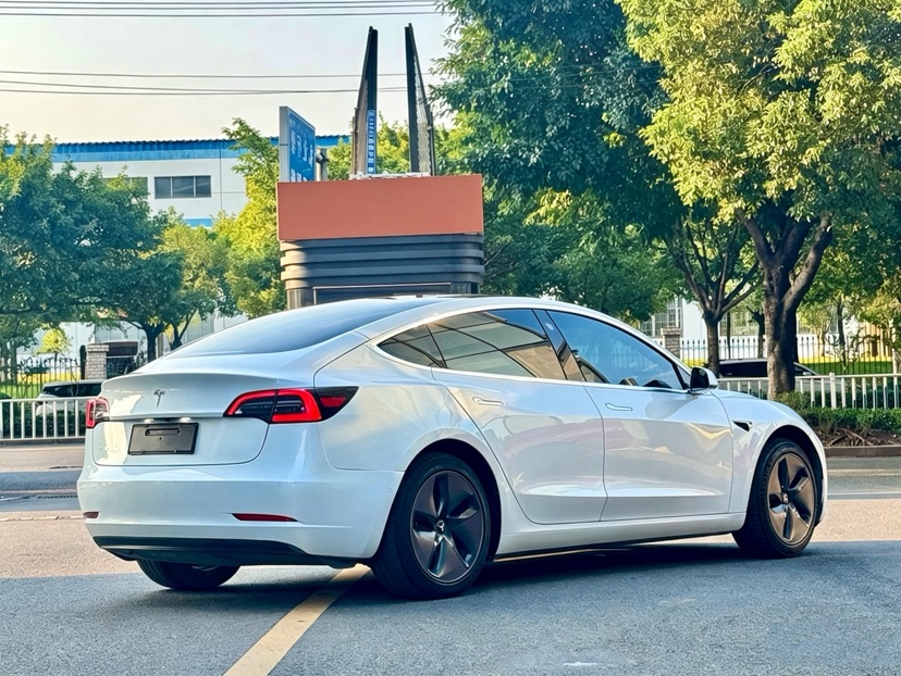 Tesla Model 3 2020 car image #7