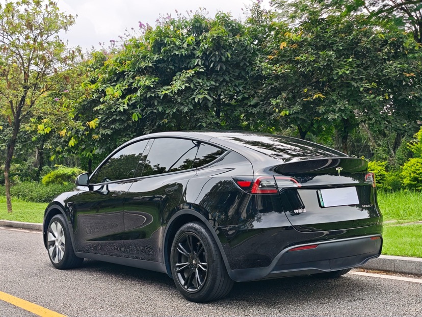 Tesla Model Y 2023 car image #6