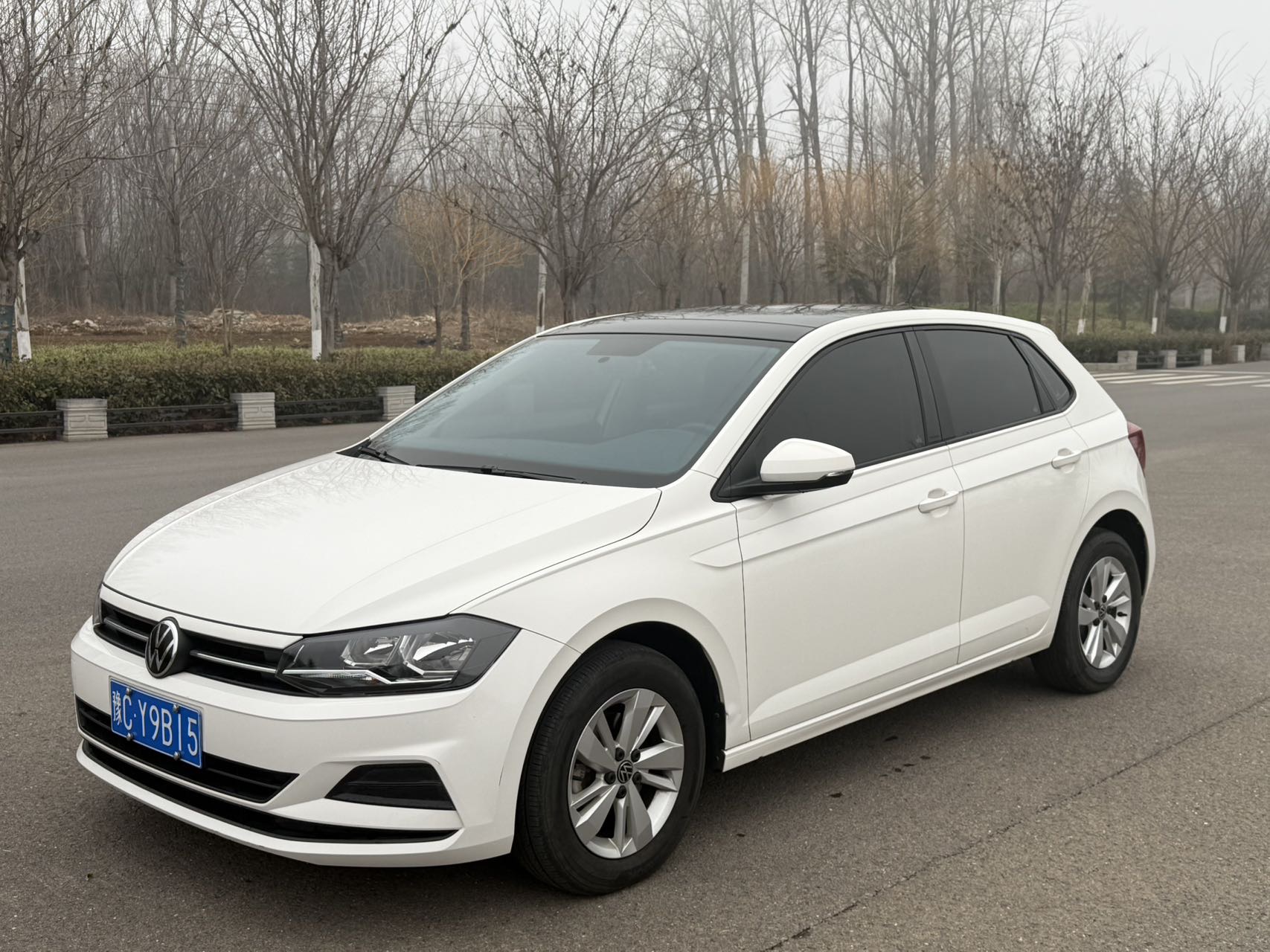 Volkswagen Polo 2022 car image 