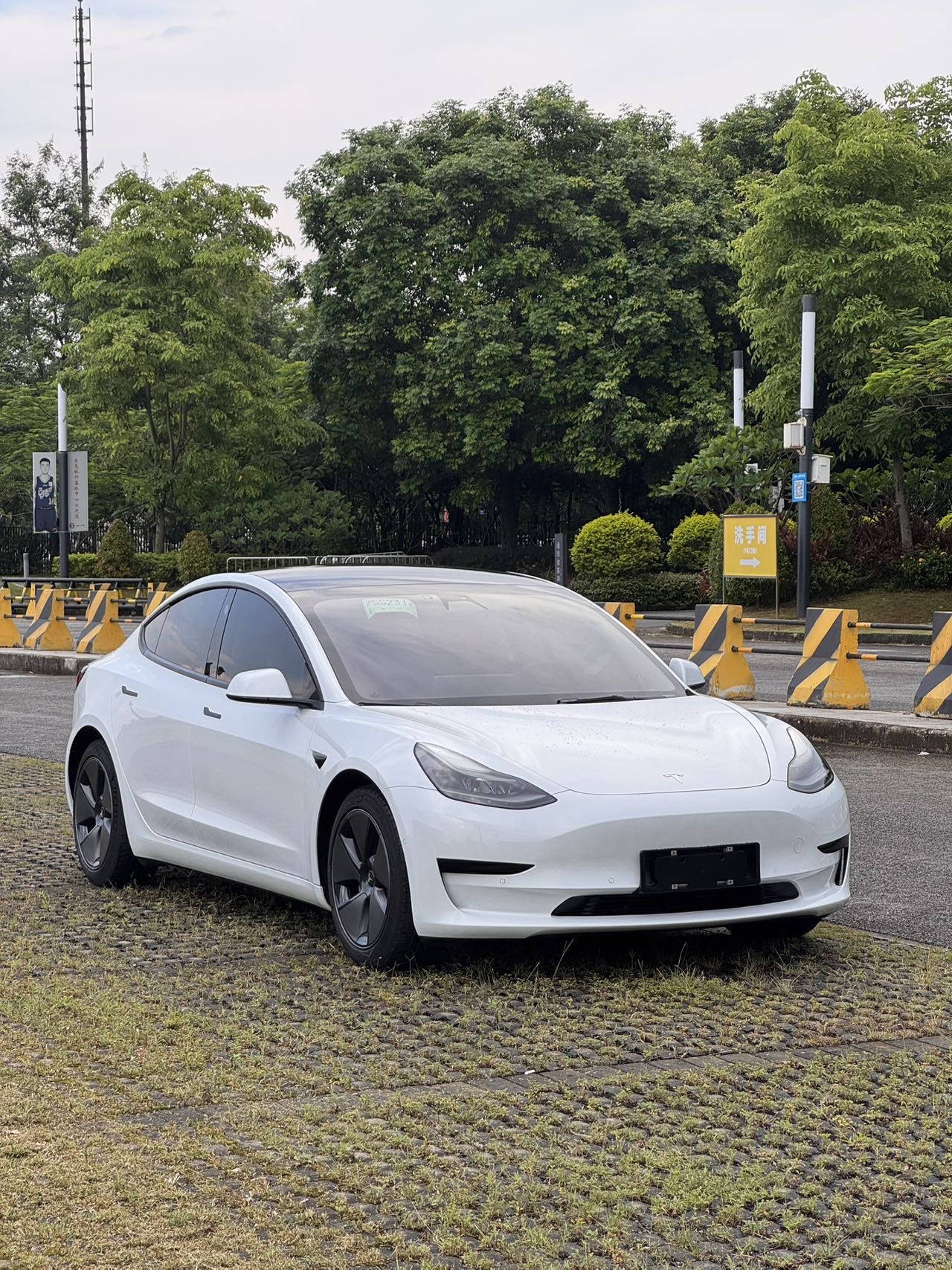 Tesla Model 3 2021 #3 Tesla Model 3 2021 immagine di auto #3