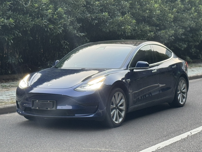 Tesla Model 3 2020 imagem de carro #3