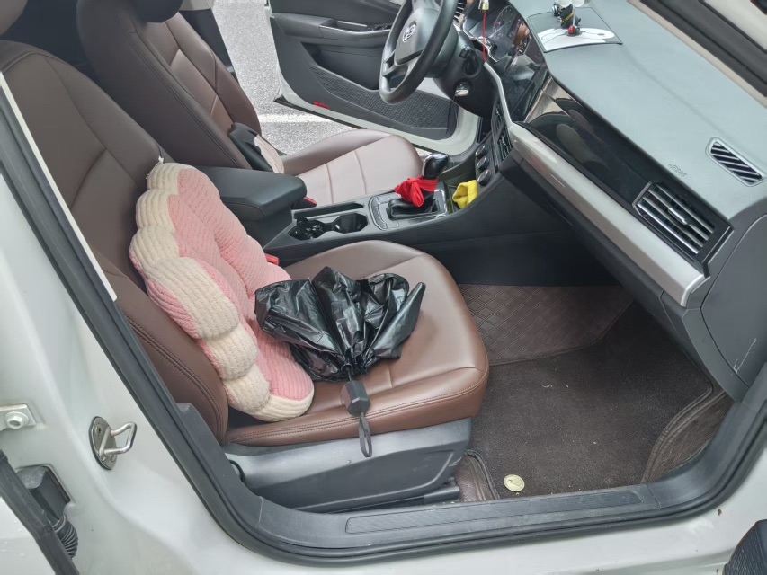 Volkswagen Bora 2020 car image #5
