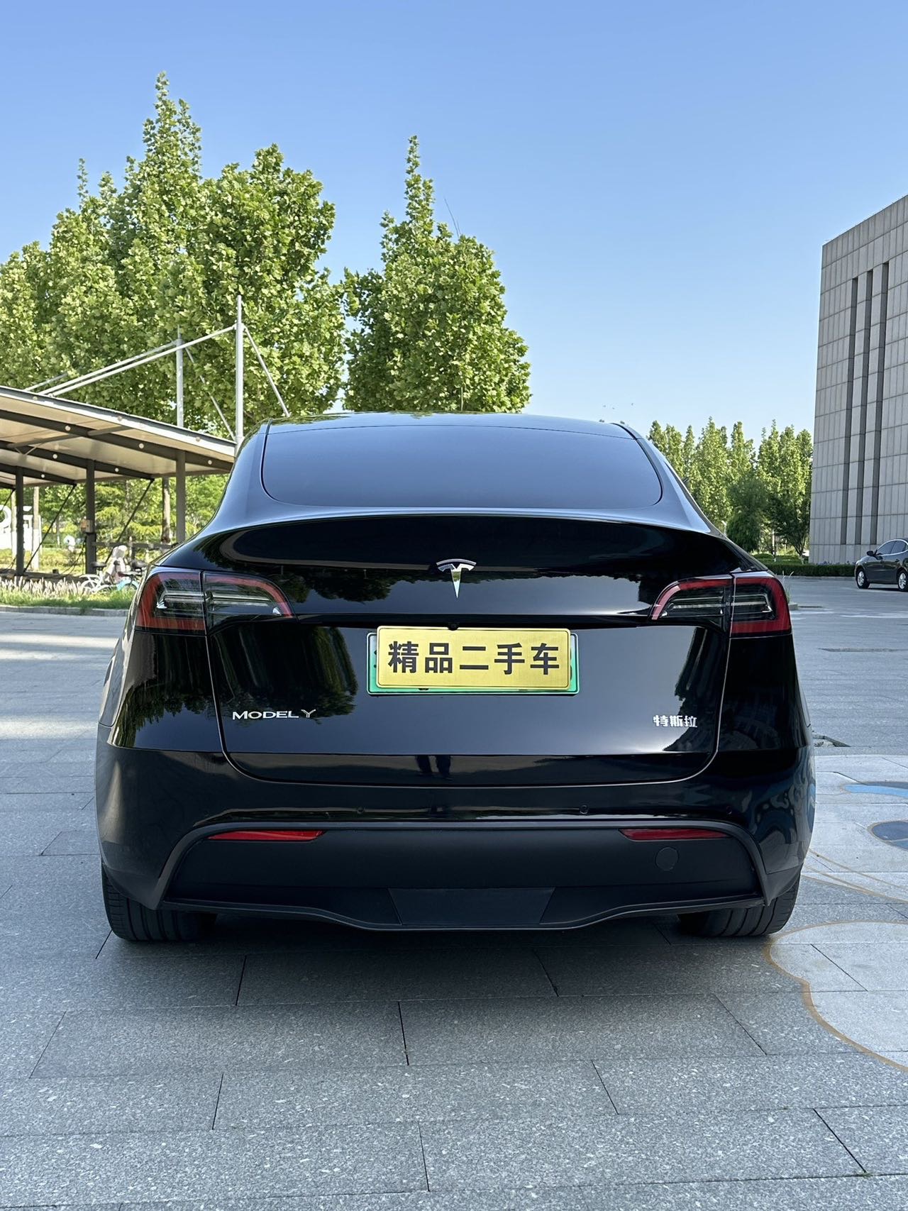 Tesla Model Y 2023 #5 Tesla Model Y 2023 car image #5