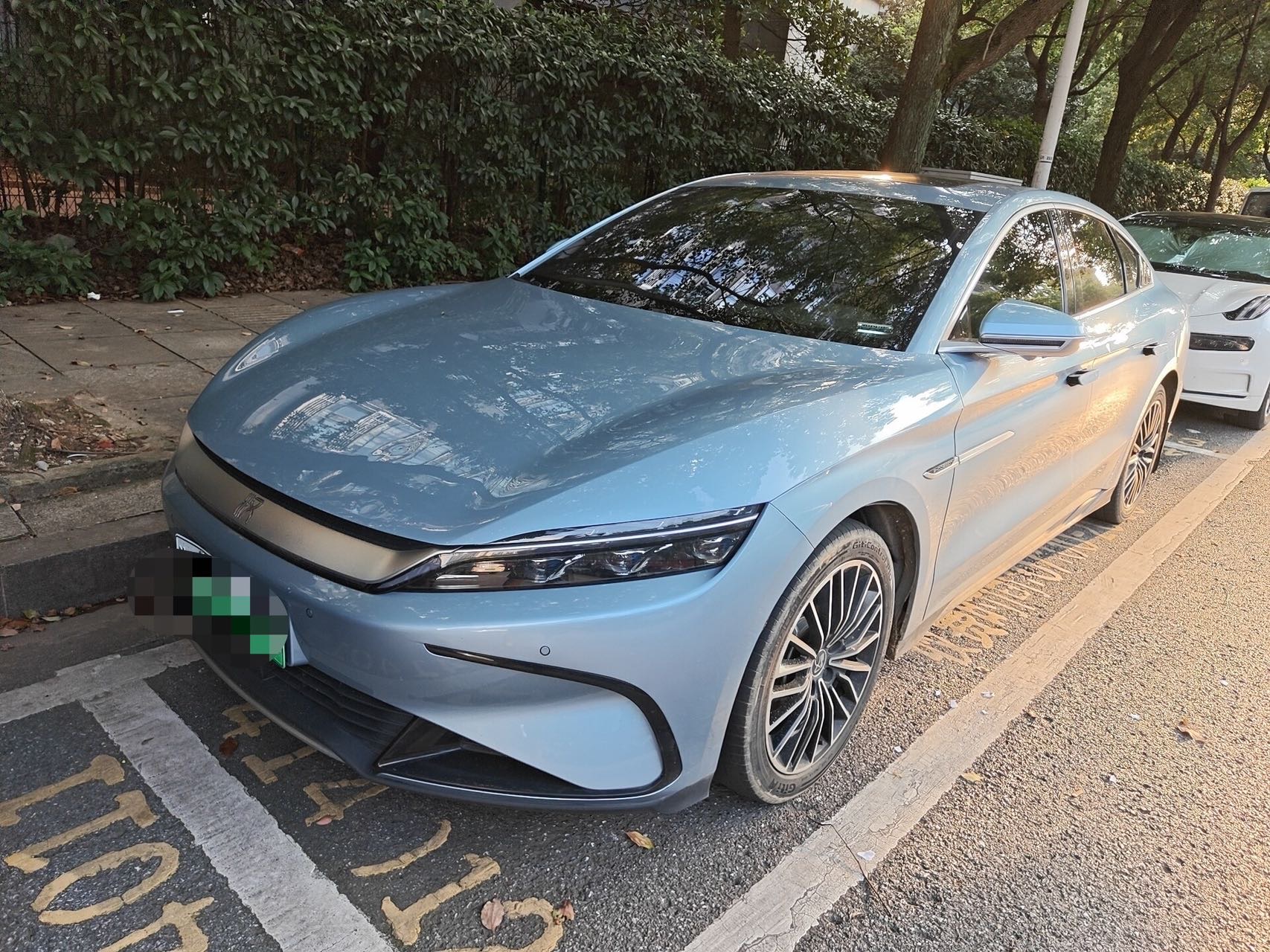 BYD Han 2024 car image 