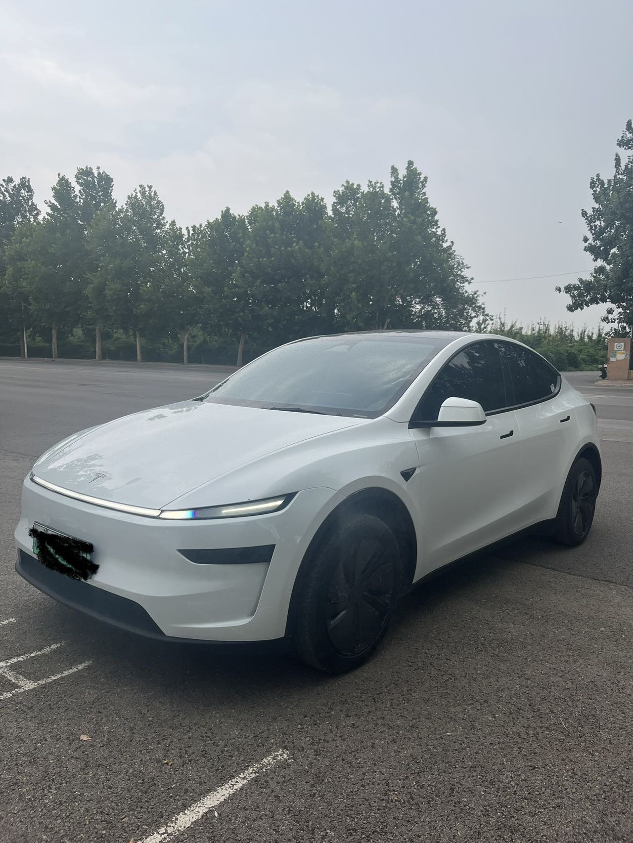 Tesla Model Y 2025 car image 