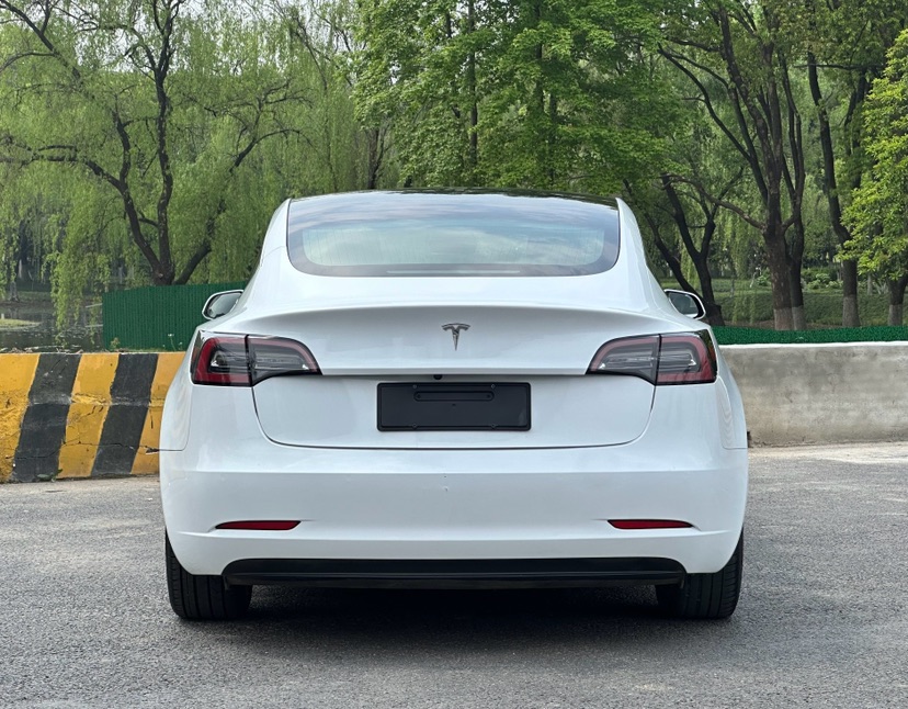Tesla Model 3 2020 #4 Tesla Model 3 2020 car image #4