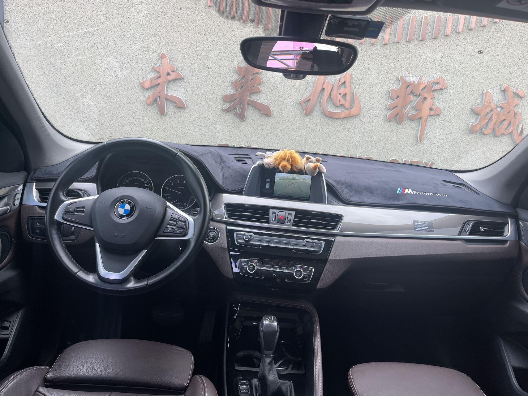BMW X1 2018 car image #15