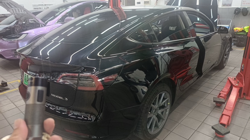 Tesla Model 3 2021 #6 Tesla Model 3 2021 car image #6