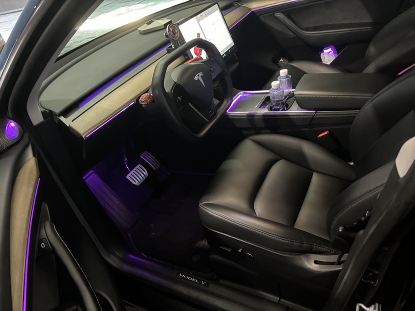 Tesla Model Y 2023 car image #6