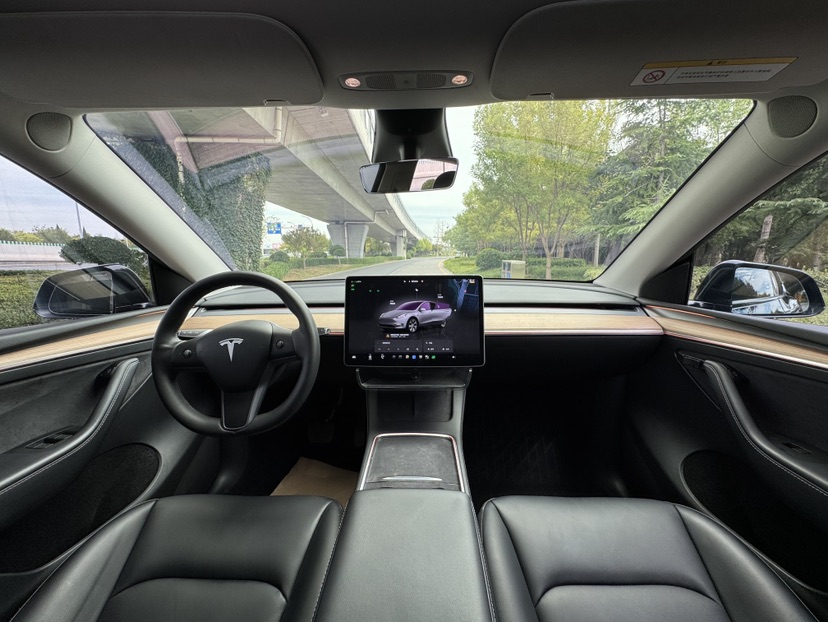 Tesla Model Y 2023 car image #6