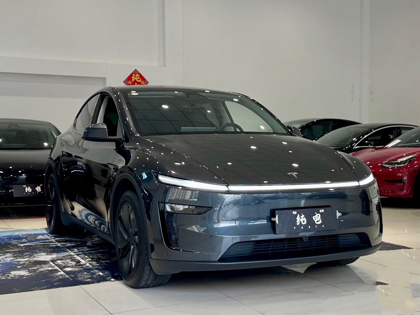 Tesla Model Y 2025 car image #3