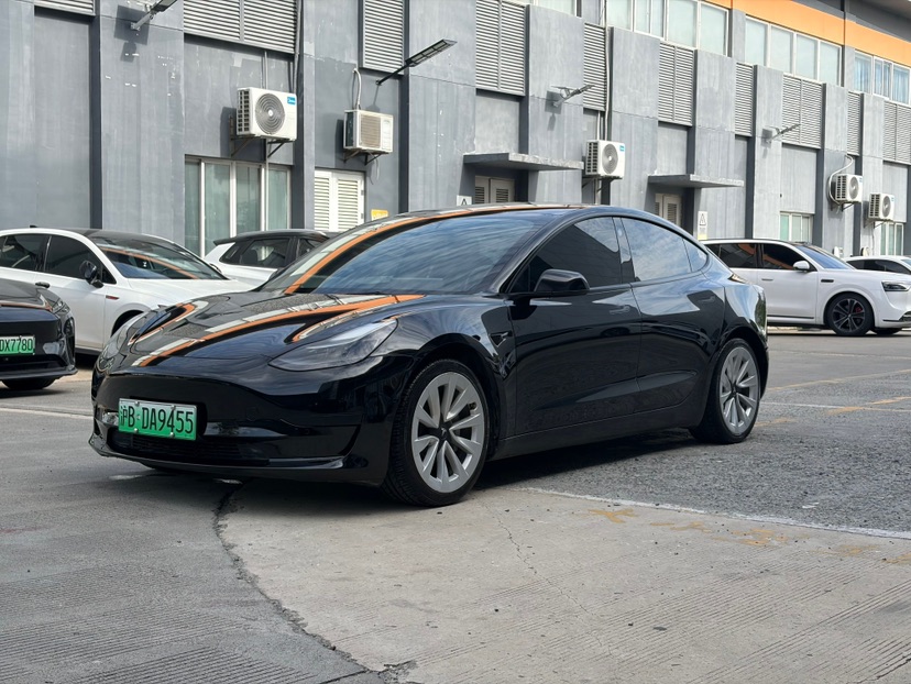 Tesla Model 3 2021 car image #3