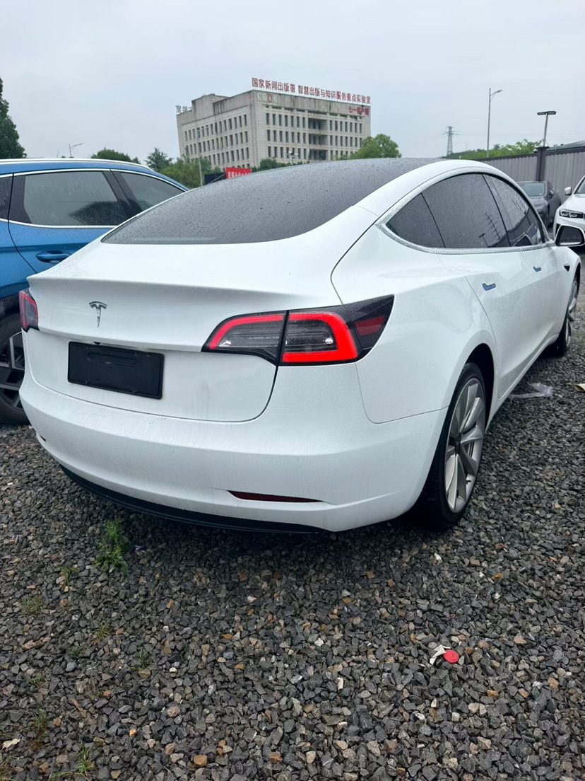 Tesla Model 3 2020 #3 Tesla Model 3 2020 car image #3