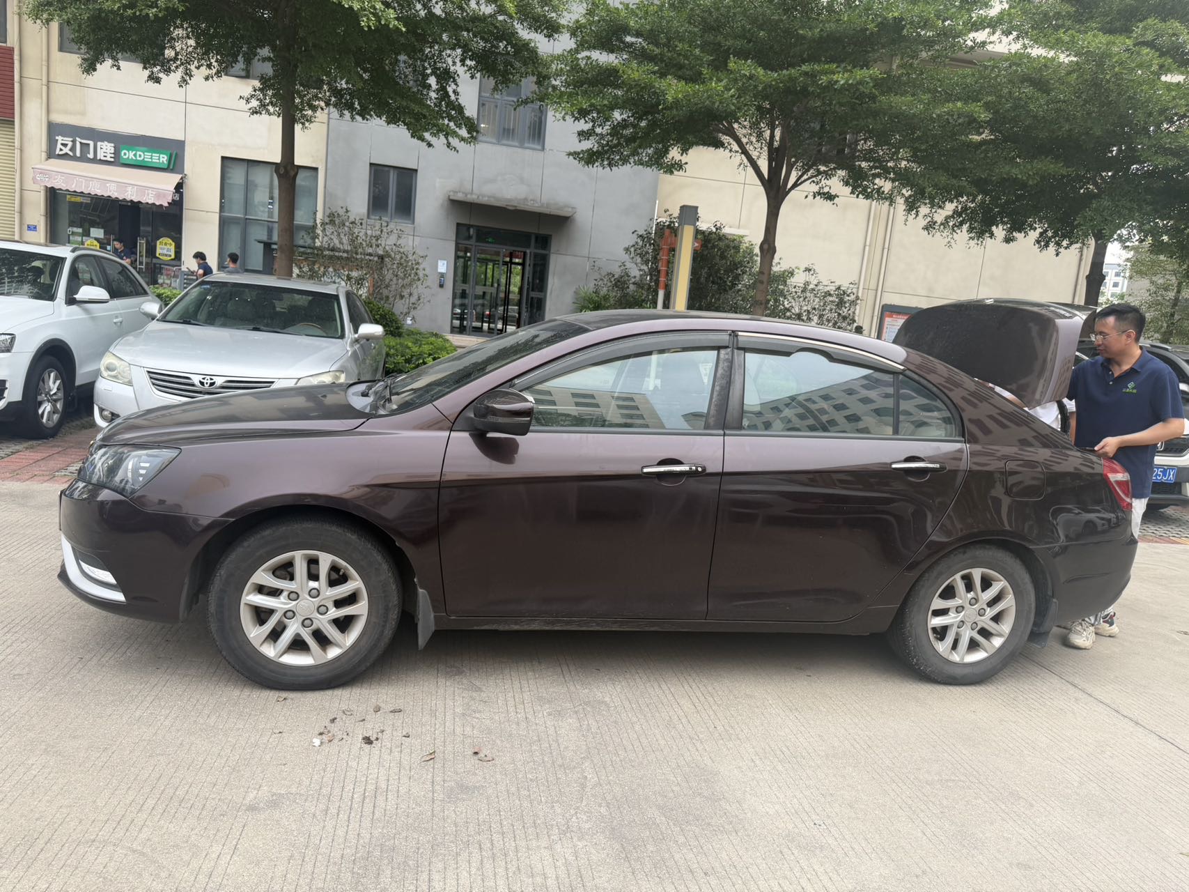 GEELY Emgrand 2016 car image #7