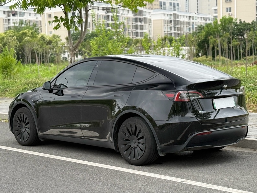 Tesla Model Y 2023 car image #6