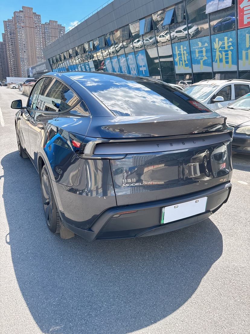 Tesla Model Y 2025 car image #4