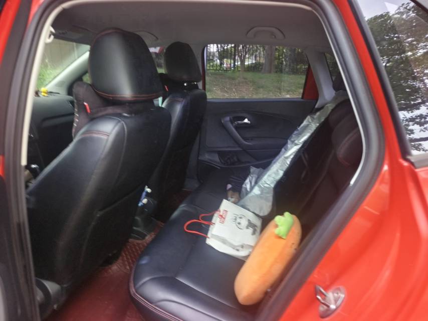 Volkswagen Polo 2016 car image #6