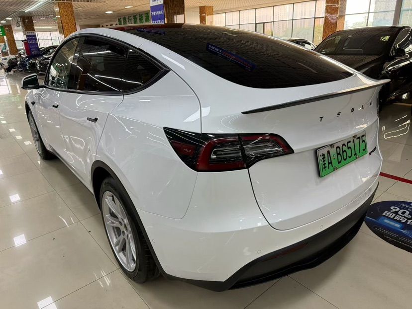 Tesla Model Y 2021 car image #7