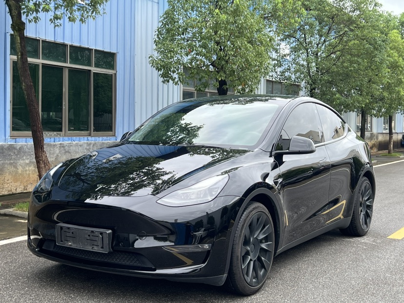 Tesla Model Y 2021 car image 