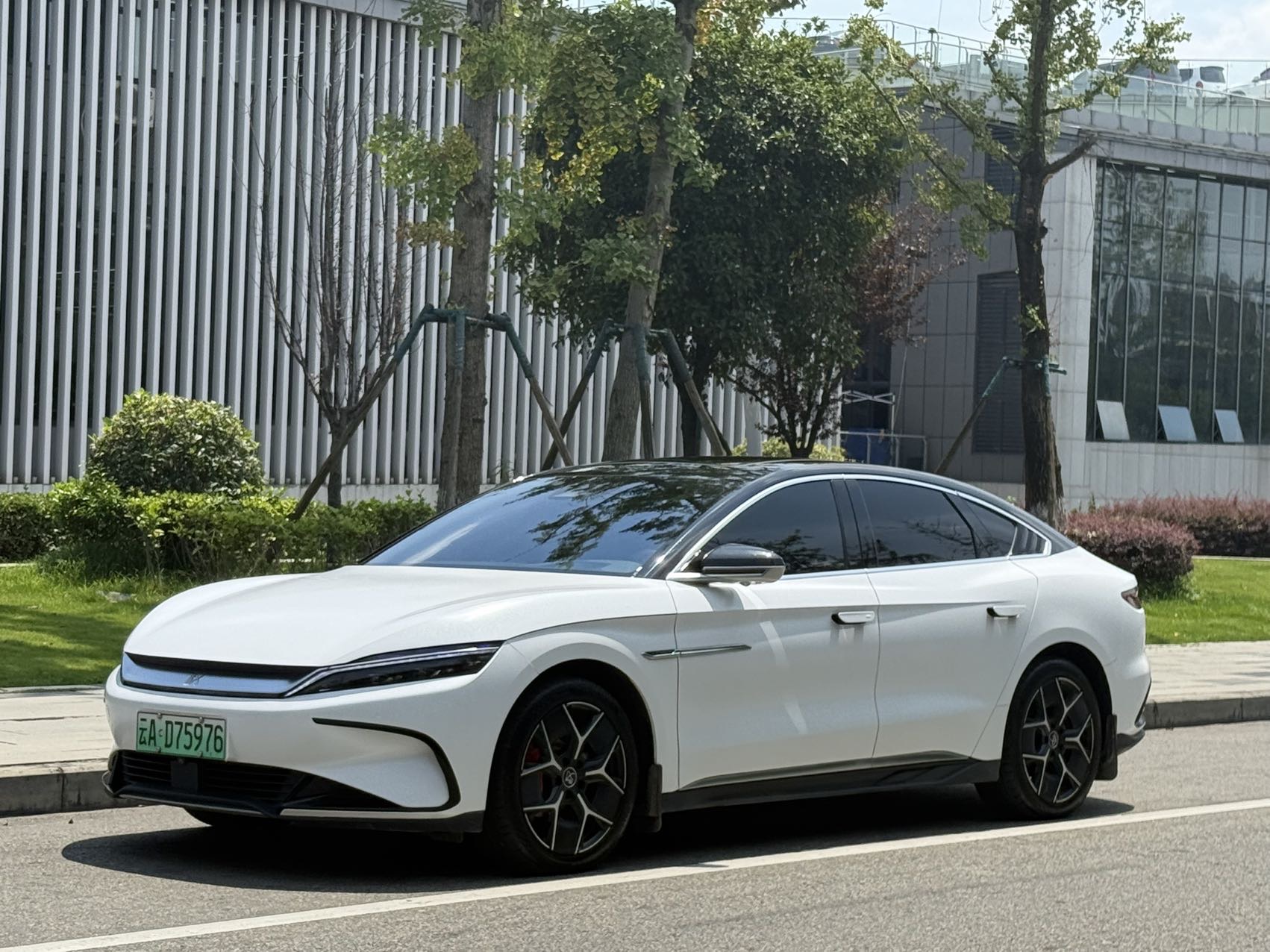 BYD Han 2022 car image 