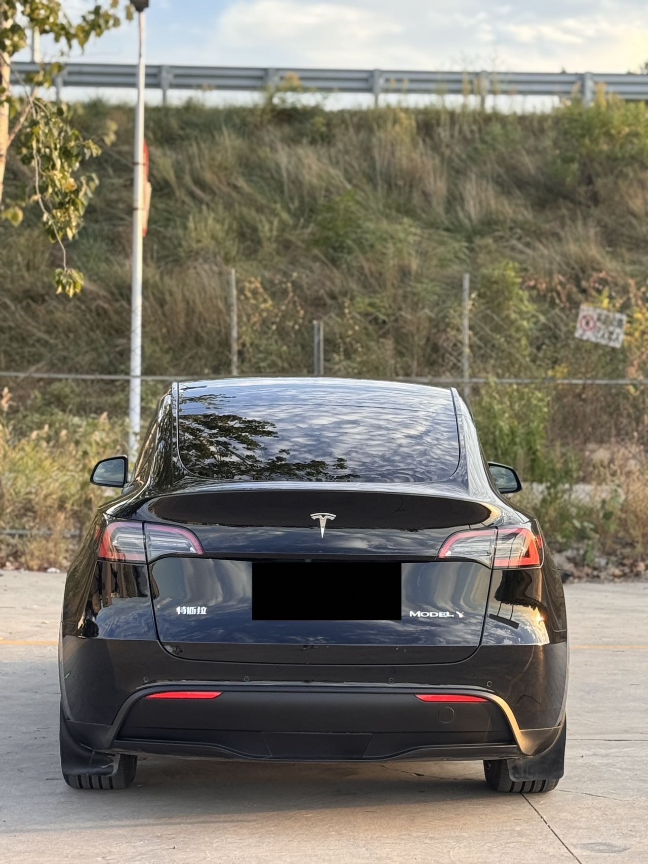 Tesla Model Y 2022 #9 Tesla Model Y 2022 car image #9
