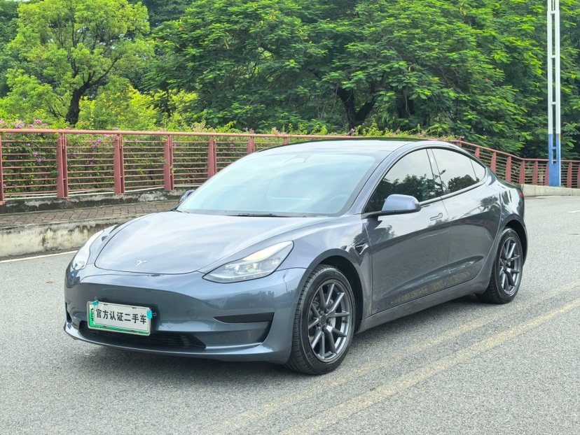 Tesla Model 3 2021 Tesla Model 3 2021 car image