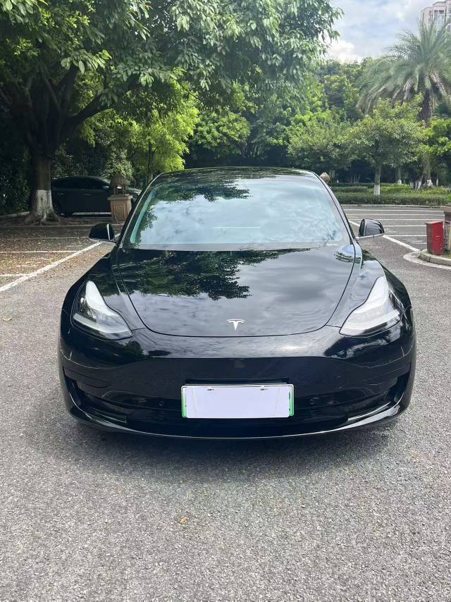 Tesla Model 3 2020 #2 Tesla Model 3 2020 car image #2