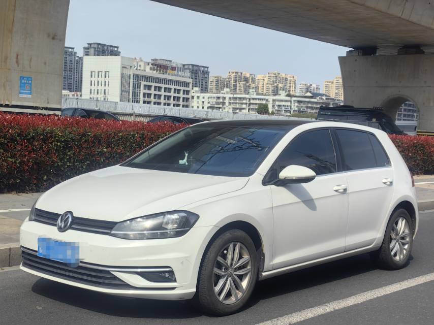 Volkswagen Golf 2019 Volkswagen Golf 2019 car image