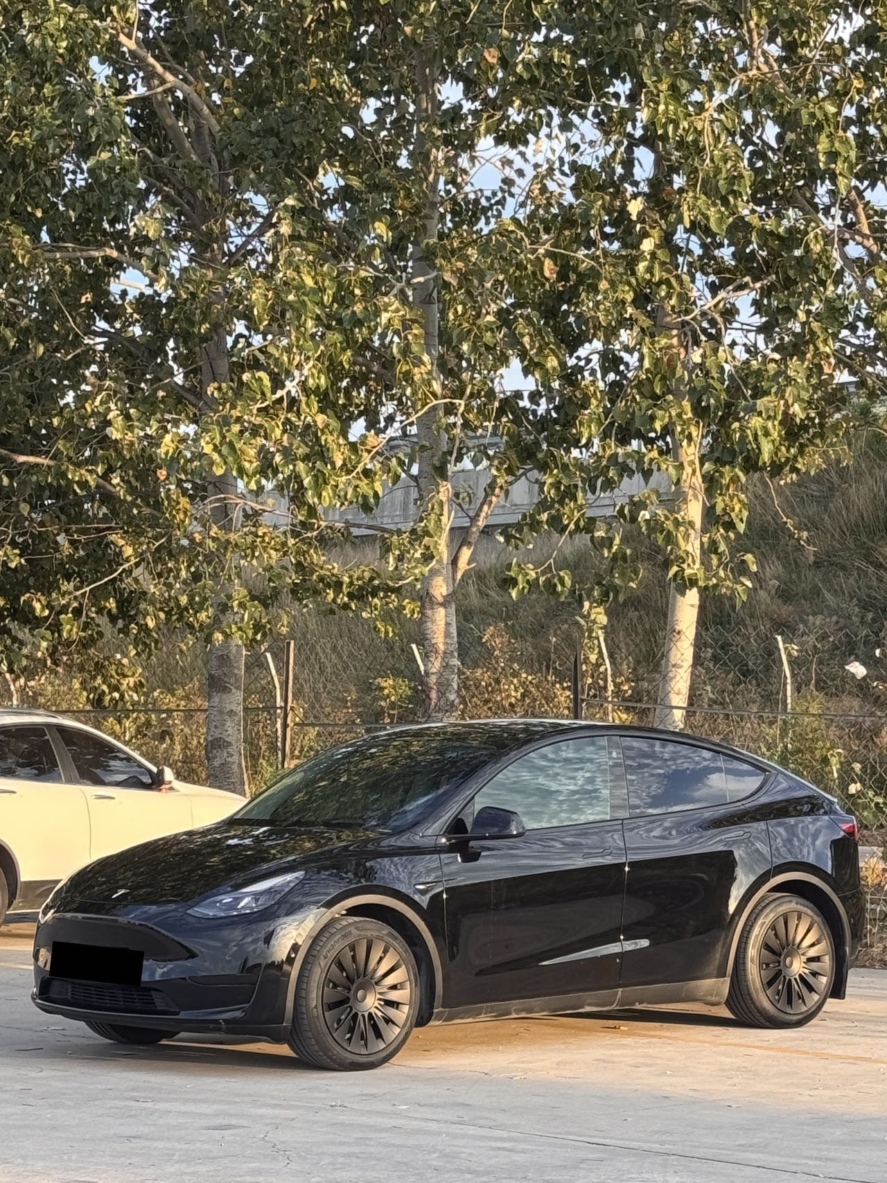 Tesla Model Y 2022 Tesla Model Y 2022 car image