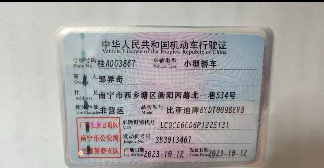 BYD Han 2023 car image #10