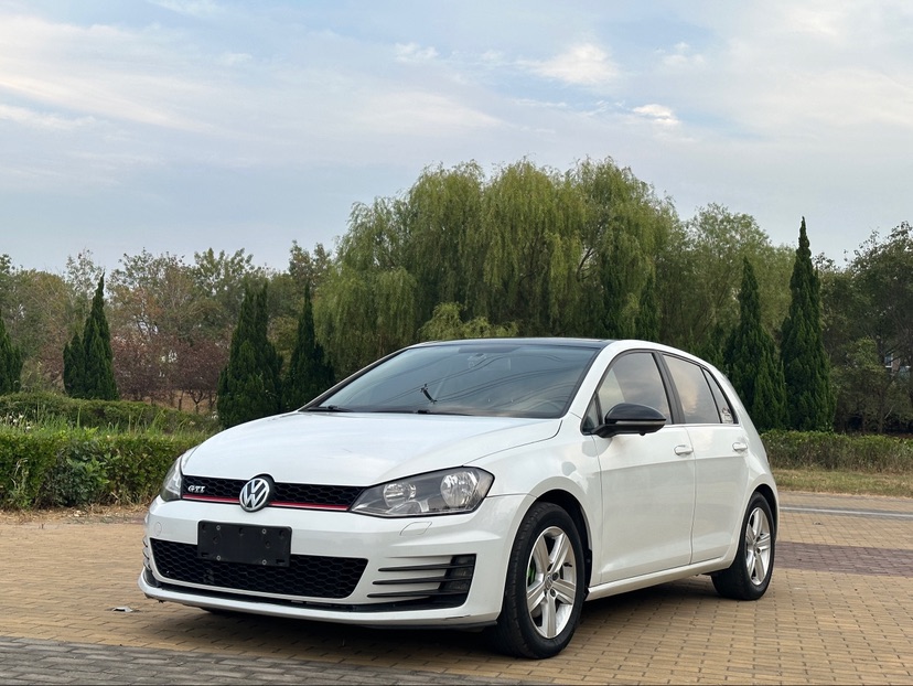 Volkswagen Golf 2015 Volkswagen Golf 2015 car image