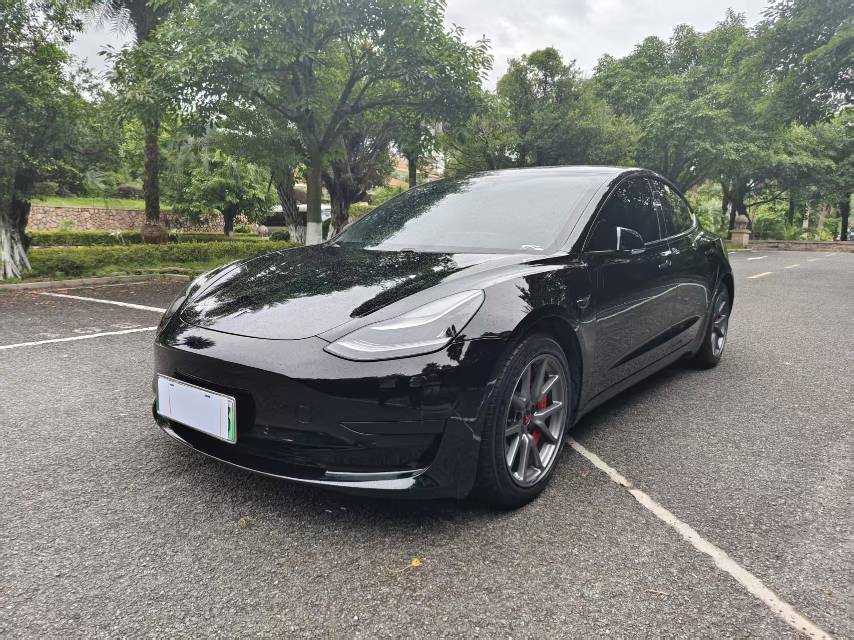 Tesla Model 3 2020 Tesla Model 3 2020 immagine di auto
